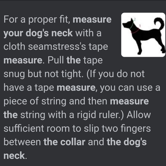 AKC Dog Collar Faux Red Crocodile w K-9 Rubies S - Picture 15 of 15